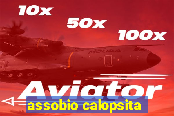 assobio calopsita